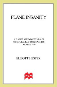 cover of the book Plane Insanity: A Flight Attendant's Tales of Sex, Rage, and Queasiness at 30,000 Feet