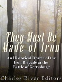 cover of the book They Must Be Made of Iron: An Historical Drama of the Iron Brigade at the Battle of Gettysburg