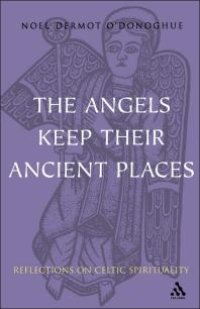 cover of the book Angels Keep Their Ancient Places : Reflections on Celtic Spirituality