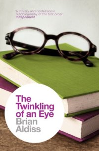 cover of the book The Twinkling Of An Eye