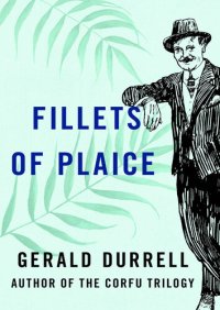 cover of the book Fillets of Plaice