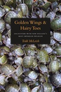 cover of the book Golden Wings and Hairy Toes : Encounters with New England's Most Imperiled Wildlife