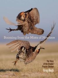 cover of the book Booming from the Mists of Nowhere : The Story of the Greater Prairie-Chicken