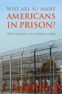 cover of the book Why Are So Many Americans in Prison?