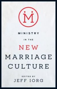 cover of the book Ministry in the New Marriage Culture