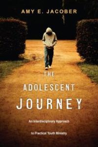 cover of the book The Adolescent Journey : An Interdisciplinary Approach to Practical Youth Ministry