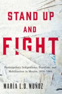 cover of the book Stand up and Fight : Participatory Indigenismo, Populism, and Mobilization in Mexico, 1970-1984