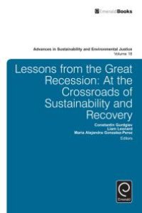 cover of the book Lessons from the Great Recession : At the Crossroads of Sustainability and Recovery