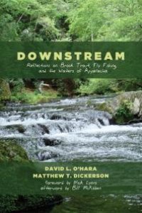 cover of the book Downstream : Reflections on Brook Trout, Fly Fishing, and the Waters of Appalachia