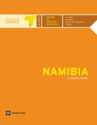 cover of the book Namibia Country Brief