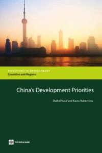 cover of the book China's Development Priorities