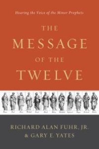 cover of the book The Message of the Twelve : Hearing the Voice of the Minor Prophets