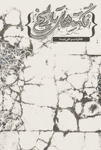 cover of the book نکته های تاریخی