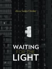 cover of the book Waiting for the Light