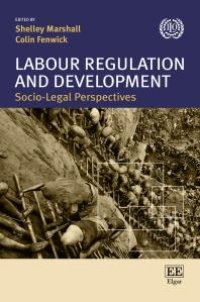 cover of the book Labour regulation and development : Socio-legal perspectives