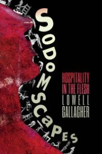 cover of the book Sodomscapes : Hospitality in the Flesh