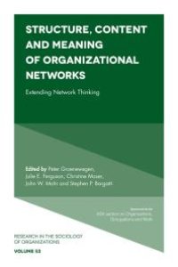 cover of the book Structure, Content and Meaning of Organizational Networks : Extending Network Thinking