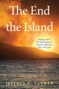 cover of the book The End of the Island : Finding Life in the Movements of Human Suffering, Pain, and Loss