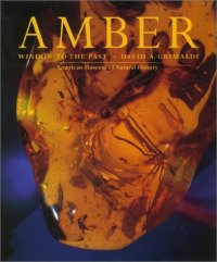 cover of the book Amber: Window to the Past