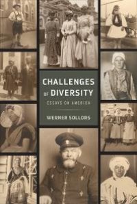 cover of the book Challenges of Diversity : Essays on America