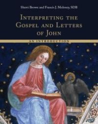 cover of the book Interpreting the Gospel and Letters of John : An Introduction