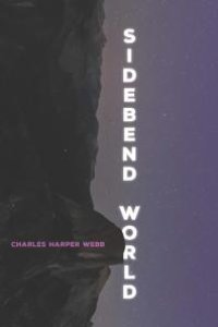 cover of the book Sidebend World