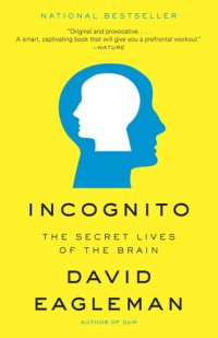 cover of the book Incognito