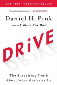 cover of the book Drive: The Surprising Truth About What Motivates Us