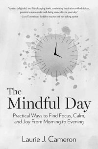 cover of the book The Mindful Day