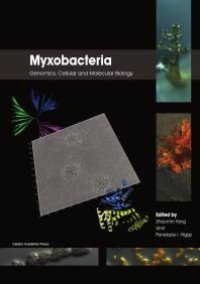 cover of the book Myxobacteria : Genomics, Cellular and Molecular Biology