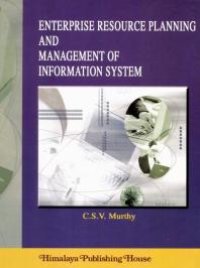 cover of the book Enterprise Resource Planning and Management Information Systems : Text and Case Studies