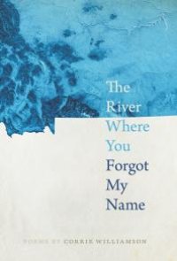 cover of the book The River Where You Forgot My Name