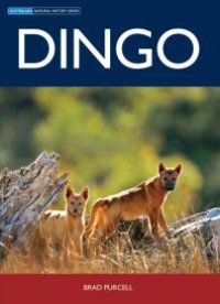 cover of the book Dingo