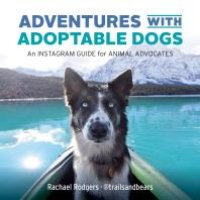 cover of the book Adventures with Adoptable Dogs : An Instagram Guide for Animal Advocates