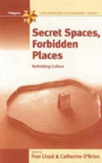 cover of the book Secret Spaces, Forbidden Places : Rethinking Culture