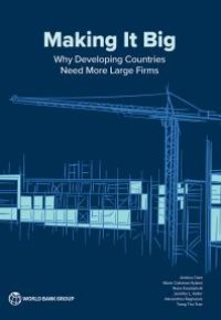 cover of the book Making It Big : Why Developing Countries Need More Large Firms