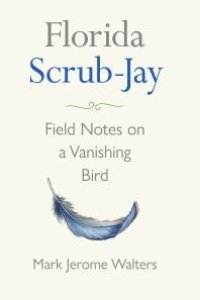 cover of the book Florida Scrub-Jay : Field Notes on a Vanishing Bird