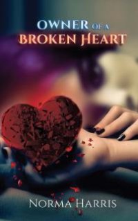 cover of the book Owner of a Broken Heart