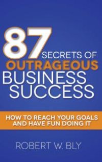 cover of the book 87 Secrets of Outrageous Business Success : How to Reach Your Goals and Have Fun Doing It