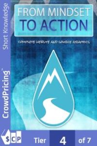 cover of the book From Mindset to Action : Don't You Deserve To Finish More Projects, Waste Less Time and Double Your Profits in the Next 30 Days... Without Fluff and Stress?