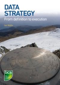 cover of the book Data Strategy : From definition to execution