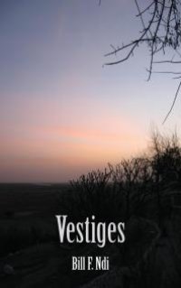 cover of the book Vestiges