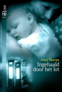 cover of the book Ingehaald door het lot