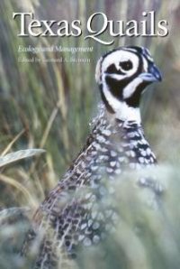 cover of the book Texas Quails: Ecology and Management