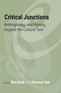 cover of the book Critical Junctions: Anthropology and History beyond the Cultural Turn