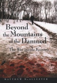 cover of the book Beyond the Mountains of the Damned: The War inside Kosovo