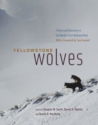 cover of the book Yellowstone Wolves: Science and Discovery in the World's First National Park