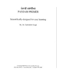 cover of the book Panjabi (Punjabi) Primer