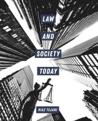 cover of the book Law and Society Today