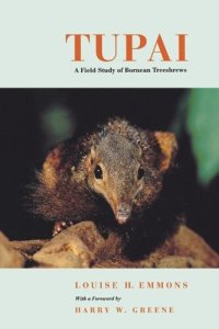 cover of the book Tupai: A Field Study of Bornean Treeshrews